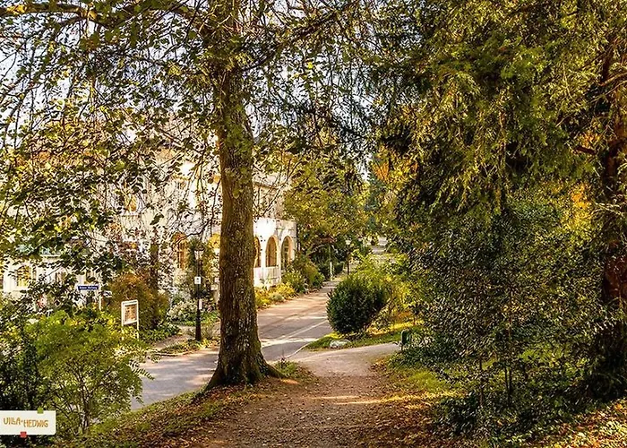 דירה Hedwig באדנוויילר