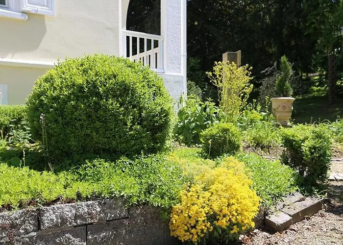 Hedwig * באדנוויילר